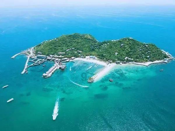 黑龙江省政协十三届二次会议港澳委员座谈会召开